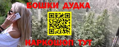 стаф Краснодар