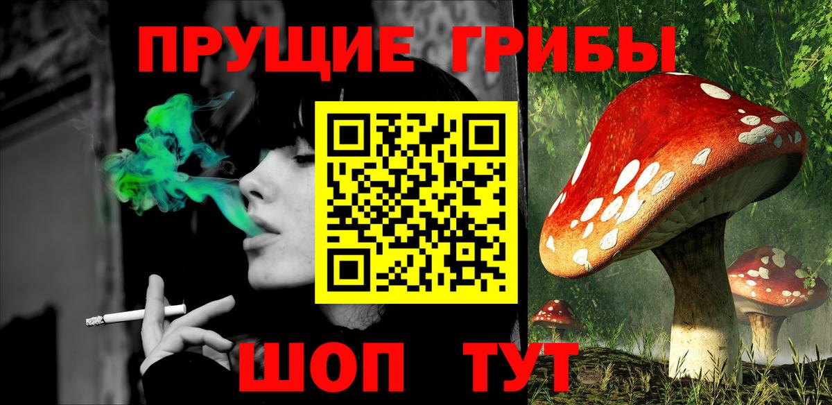 Кольчугино  Псилоцибиновые грибы Psilocybine cubensis  Псилоцибиновые грибы GOLDEN TEACHER  Вход с VPN 